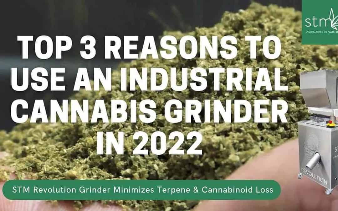 industrial cannabis grinder