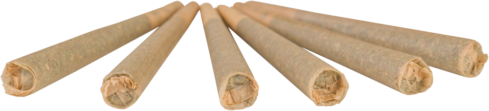 pre rolled joints