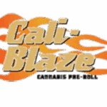 Califblaze cannabis brand - STM Canna pre-roll machine customer