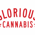 Glorious Cannabis Brand - STM Canna customer