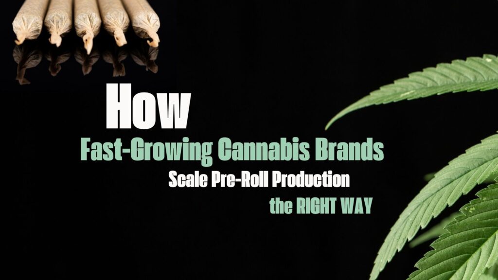How Fast-Growing Cannabis Brands Scale Pre Roll Production the Right Way