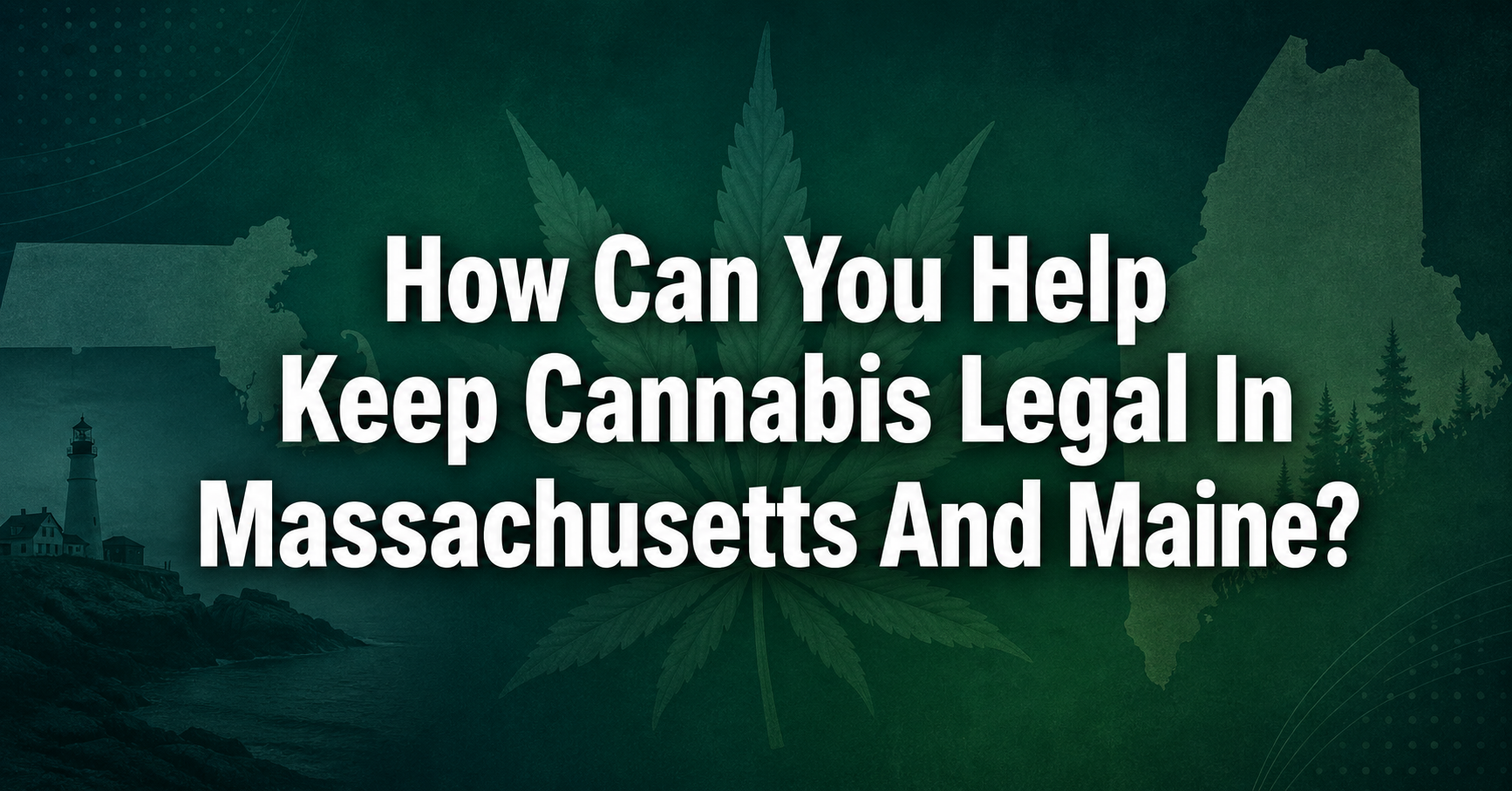 How Can You Help Keep Cannabis Legal In Massachusetts And Maine